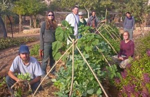 Israel - Desert Eco-Kibbutz Internship3