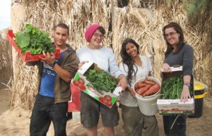 Israel - Desert Eco-Kibbutz Program3