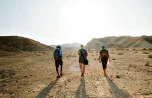 Israel - Desert Eco-Village17