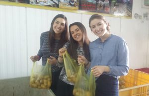Israel - Food Baskets for Families6