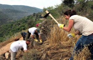 Israel - Sataf Ancient Agriculture1