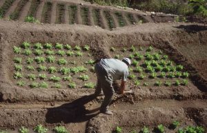 Israel - Sataf Ancient Agriculture11