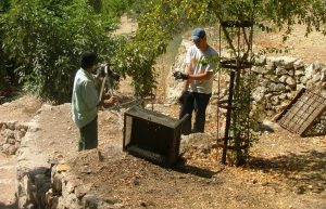 Israel - Sataf Ancient Agriculture16