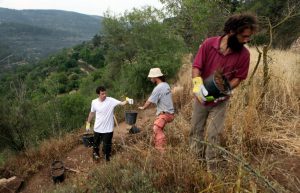 Israel - Sataf Ancient Agriculture18