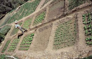 Israel - Sataf Ancient Agriculture19