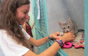 Israel - Tel Aviv Animal Shelter3