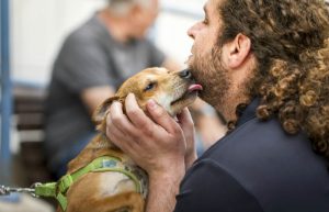 Israel - Tel Aviv Animal Shelter7