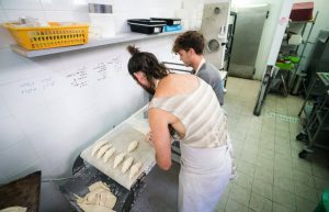 Israel - Vegan Bakery Internship14