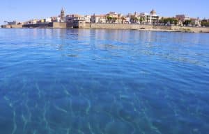 Italy - Dolphin and Marine Life Conservation in Sardinia11