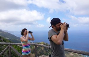 Italy - Dolphin and Marine Life Conservation in Sardinia3