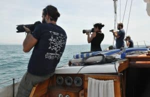 Italy - Liveaboard Dolphin Research Expedition3