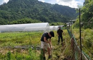 Japan - Otaki Village Agriculture3