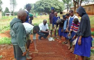 Kenya - Sustainable Village Agriculture13