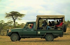 Kenya - Teaching, Maasai Mara and Beach Road Trip11