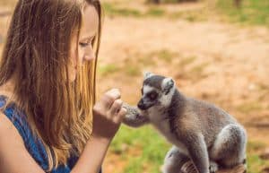 Madagascar - Lemur Conservation32