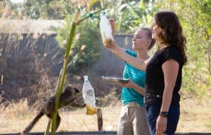 Madagascar - Lemur Conservation38