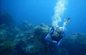 Malaysia - Coral Reef Conservation and Diving7