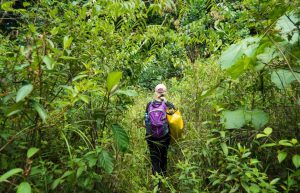 Malaysia - Jungle Trekking and Sea Turtle Conservation4