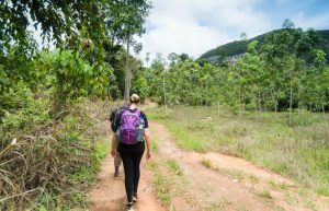 Malaysia - Jungle Trekking and Sea Turtle Conservation5