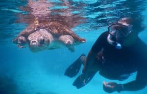 Maldives - Marine and Turtle Conservation12