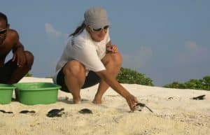 Maldives - Marine and Turtle Conservation25