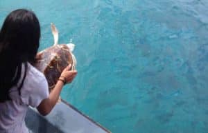 Maldives - Marine and Turtle Conservation5
