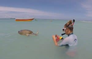Maldives - Marine and Turtle Conservation6