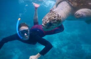 Maldives - Marine and Turtle Conservation7