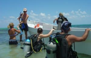 Mexico - Diving for Marine Conservation27
