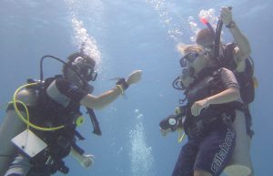 Mexico - Diving for Marine Conservation32