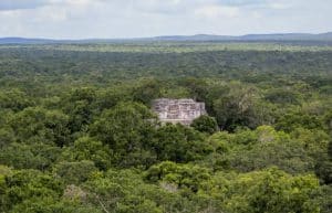 Mexico - Jaguar Jungle Conservation6