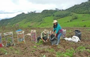 Peru - Culture Week in Cajamarca10