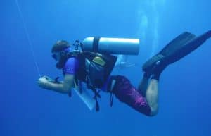 Seychelles - Scuba Dive for Research and Conservation8