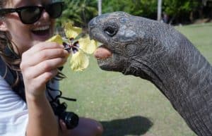 Seychelles - Wildlife Conservation Expedition4