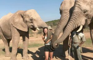 South Africa - African Wildlife Ranch Internship2
