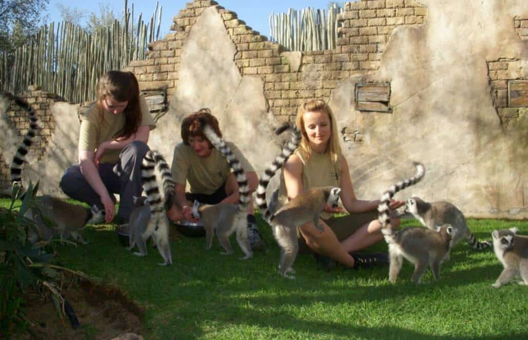 South Africa - African Wildlife Ranch Internship8