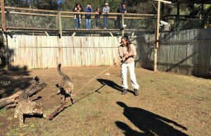 South Africa - African Wildlife Ranch32