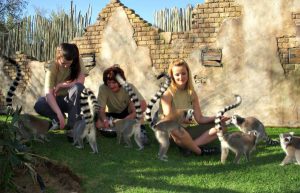 South Africa - African Wildlife Ranch39