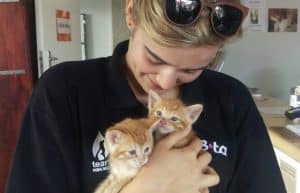 South Africa - Animal Rescue and Veterinary Shelter11