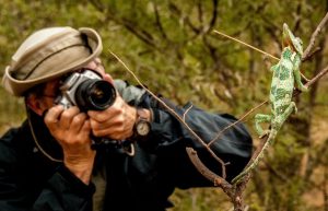 South Africa - Greater Kruger Area Wildlife Photography and Conservation14