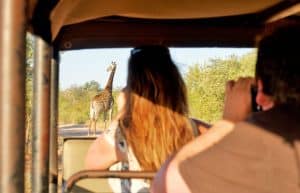 South Africa - Kruger Park & Safari Tour21