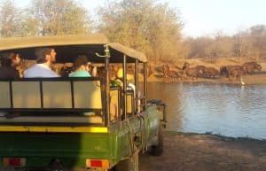 South Africa - Kruger Park & Safari Tour3