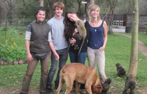 South Africa - Monkey and Wildlife Rehabilitation Center12