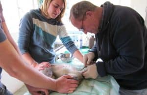 South Africa - Monkey and Wildlife Rehabilitation Center15