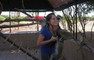 South Africa - Monkey and Wildlife Rehabilitation Center18