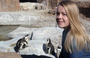 South Africa - Penguin and Marine Bird Sanctuary53