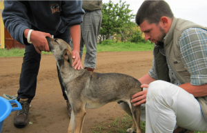South Africa - Pre-Vet Wildlife Internship14