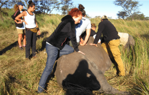 South Africa - Pre-Vet Wildlife Internship15