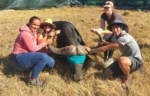 South Africa - Pre-Vet Wildlife Internship6