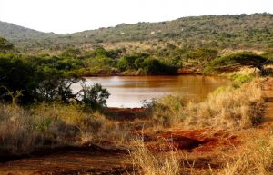 South Africa - The Big 5 Wildlife Reserve in the Greater Kruger Area22